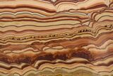 Polished Slab Of Rolling Hills Dolomite - Mexico #324330-1